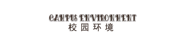 教学优势